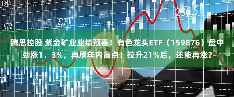 腾思控股 紫金矿业业绩预喜！有色龙头ETF（159876）盘中劲涨1．3%，再刷年内高点！拉升21%后，还能再涨？