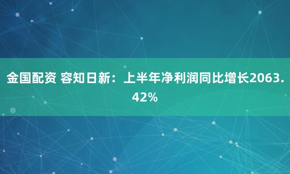 金国配资 容知日新：上半年净利润同比增长2063.42%