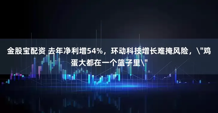 金股宝配资 去年净利增54%，环动科技增长难掩风险，＂鸡蛋大都在一个篮子里＂